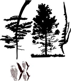 the silhouettes of trees and birds are shown in black and white, with one bird flying