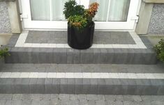 a potted plant sitting on the side of a set of steps next to a window