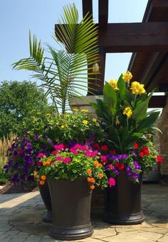 three planters filled with colorful flowers on a patio