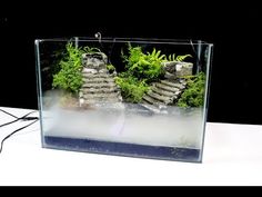 an aquarium with plants and rocks in it