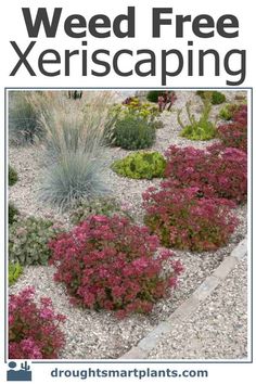 the front cover of a book with an image of various plants and shrubs in it