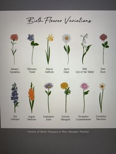 a bunch of flowers that are on a white board with words written in them and below it is an image of the birth flower variations