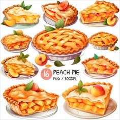 a bunch of pies that are on plates