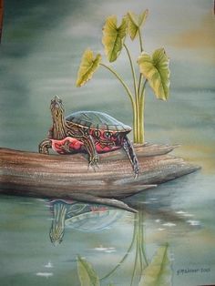 a painting of a turtle sitting on top of a log in the middle of water