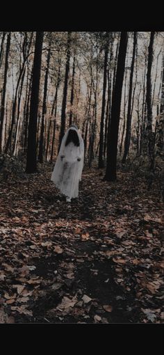 #halloween #halloweencostume #fall #autumn #aesthetic #forest #scary #zombie #zombiebride Fall Autumn Aesthetic, Scary Zombie, Halloween Room, Aesthetic Forest, Autumn Aesthetic, Mood Boards