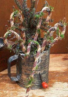 a potted plant sitting on top of a wooden table next to a metal watering can