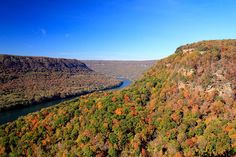 an aerial view of a river surrounded by trees in the fall with leaves changing colors