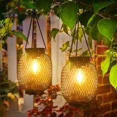 two hanging jars with lights attached to them in front of a fence and plants on the other side