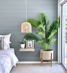 a bedroom with a bed, plant and pictures hanging on the wall next to it