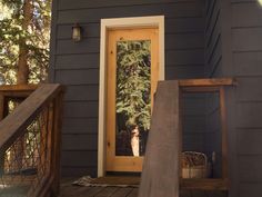 a dog is standing in the doorway of a house with its reflection on the door