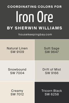 Coordinating Colors for Iron Ore SW 7069 by Sherwin Williams Sw 9166 Drift Of Mist, Drift Of Mist Coordinating Colors, Sw Sage, Iron Ore Complimentary Colors, Iron Ore Sherwin Williams Exterior, Drift Of Mist, Iron Ore Sherwin Williams, Tricorn Black, Office Built Ins