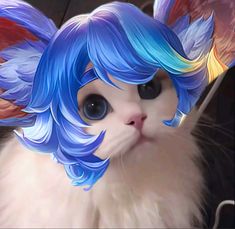 a white cat with blue hair and wings on it's head