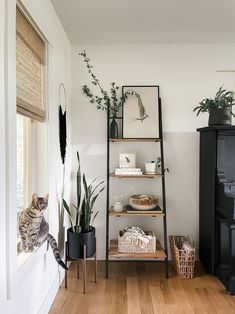 an instagram photo of a living room with plants