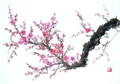 a branch with pink flowers on it against a white background and red squares in the bottom right corner