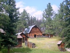 an old log cabin in the woods surrounded by pine trees and tall grass on a sunny day