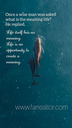 a dolphin swimming in the water with a quote above it