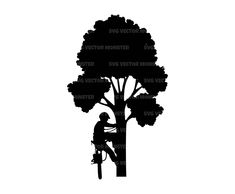 a man on a bike climbing up the side of a tree silhouetted against a white background