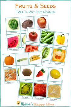 an image of fruits and seeds cards