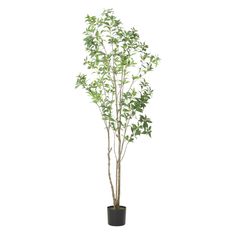 Primrue 82.7'' Artificial Eucalyptus Tree in Planter & Reviews | Wayfair Black Olive Tree, Potted Olive Tree, Faux Olive Tree, Black Planters, Indoor Trees