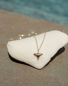 Real Shark Tooth Necklace Dipped in Gold This minimalist gold shark tooth necklace is simply beautiful and features a real fossilized shark tooth found by Foxy Fossils in Charleston, SC hand-dipped in gold and carefully wire-wrapped into a genuine prehistoric pendant. Whether you wear your shark tooth necklace alone or paired with your other favorite necklaces, you can always take a piece of the ocean with you in this signature piece! Details: Length: 16" or 18" Dainty 14K gold-filled chain and Shark Teeth Jewelry, Teeth Shape, Shark Tooth Necklace, Going Out Looks, Tooth Necklace, Fossil Jewelry, Gold Tips, Ocean Jewelry, Shark Tooth