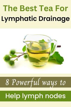 best tea for lymphatic drainage Lymph Drainage Drink, Lymph Cleanse Tea, Lymph Drainage Tea, Herbs For Lymph Drainage, Lymph Support, Lymph Health, Lymph Detox, Lymph Drainage Massage, Lymph Fluid