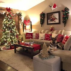 a dog sitting on the couch in front of a christmas tree and other holiday decorations