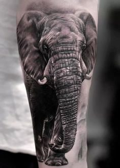 an elephant and calf tattoo on the arm