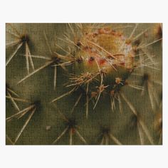 a jigsaw puzzle with a cactus on it