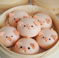 some little pigs are in a small bowl