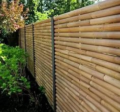 a bamboo fence in front of some bushes