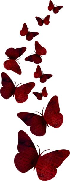 many red butterflies flying in the air with their wings spread out to look like they are floating