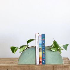 two books are sitting on top of a wooden shelf next to a potted plant