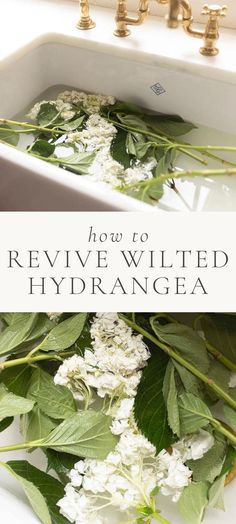 a white sink with flowers in it and the words how to remove wilted hydrangea