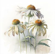 three white and yellow flowers with green leaves in watercolor on paper by corbi