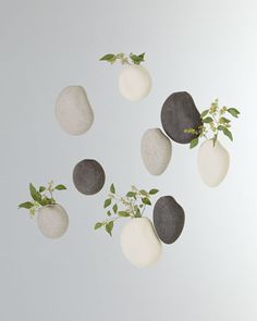 four white and black rocks with plants growing out of them, against a white background