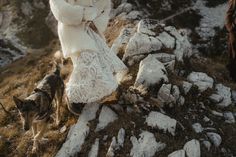 a woman walking her dog up a rocky hill