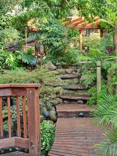 a wooden bench sitting in the middle of a lush green forest filled with trees and plants