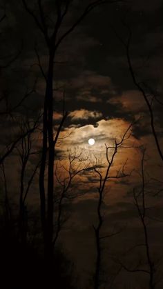 the full moon is seen through some trees