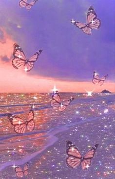 several butterflies flying over the ocean at sunset