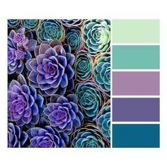 purple and green succulents are arranged in the same color scheme, with different shades