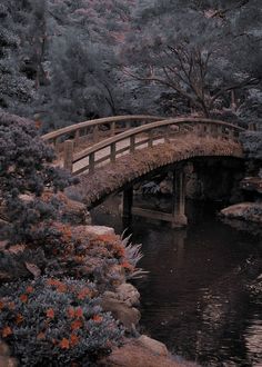 a bridge over a small river surrounded by trees and flowers in the fall time with foliage on either side