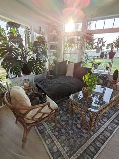 a living room filled with furniture and plants