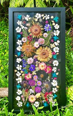 an image of flowers on display in a frame