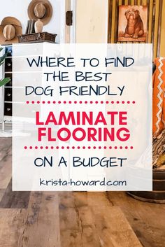 a living room with wood floors and furniture in the background, text overlay reads where to find the best dog friendly laminate flooring on a budget