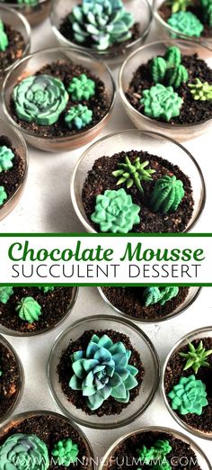 chocolate mousse succulent desert with text overlay