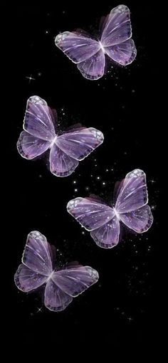 three purple butterflies flying in the air with water droplets on it's back ground