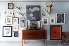 there are many framed pictures on the wall with deer heads and other animal head decorations