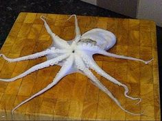 an octopus on a wooden cutting board with white stuff in it's tentacles and eyes