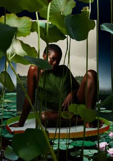 a woman sitting on top of a surfboard surrounded by water lillies and leaves