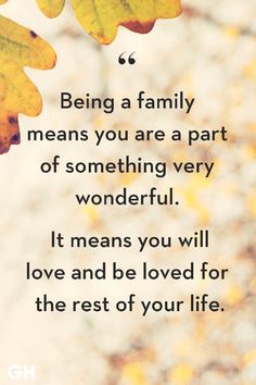 a quote on being a family means you are part of something very wonderful it means you will love and be loved for the rest of your life